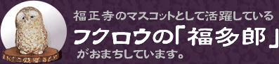 福正寺のマスコットとして活躍していいるフクロウの「福多郎」がおまちしています。
